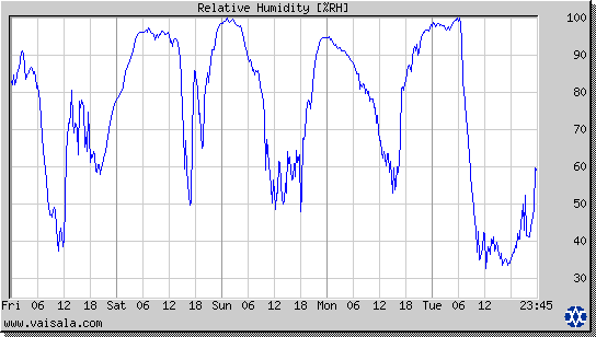 Relative Humidity