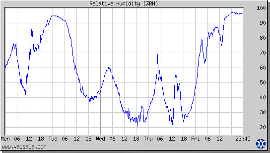 Relative Humidity