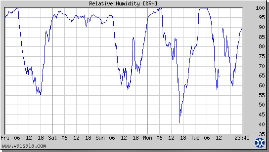 Relative Humidity