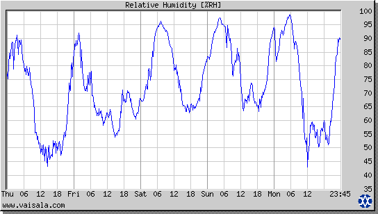 Relative Humidity