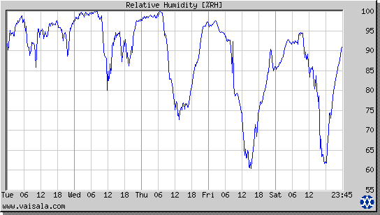 Relative Humidity