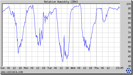 Relative Humidity