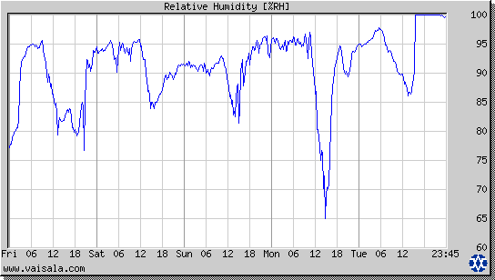 Relative Humidity