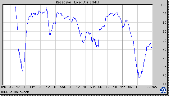 Relative Humidity