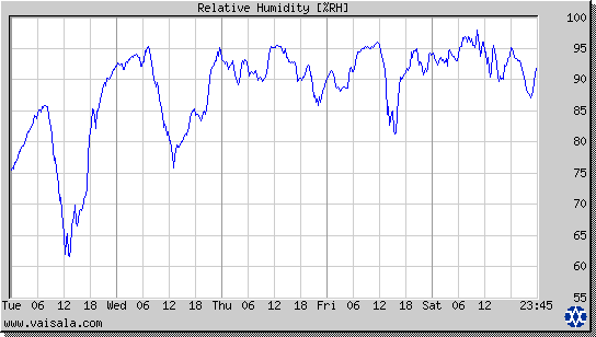 Relative Humidity