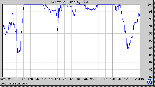 Relative Humidity