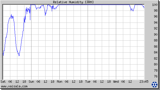 Relative Humidity