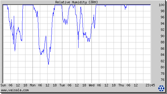 Relative Humidity