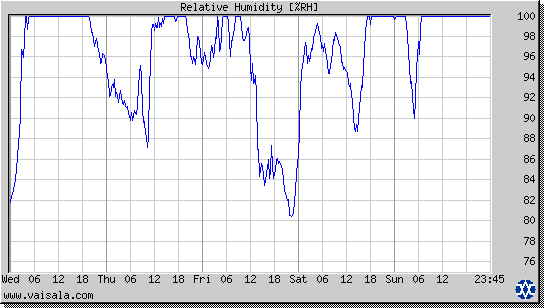 Relative Humidity