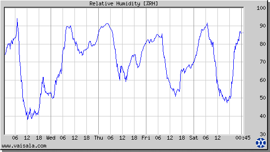 Relative Humidity