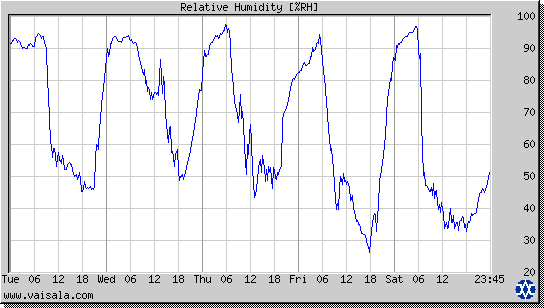 Relative Humidity