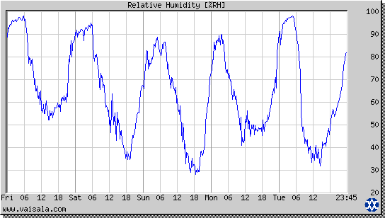 Relative Humidity