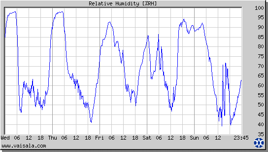 Relative Humidity