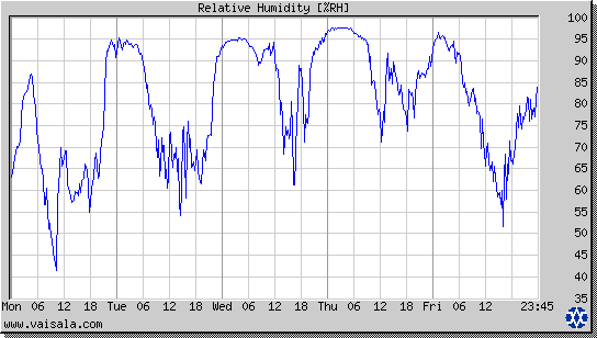 Relative Humidity