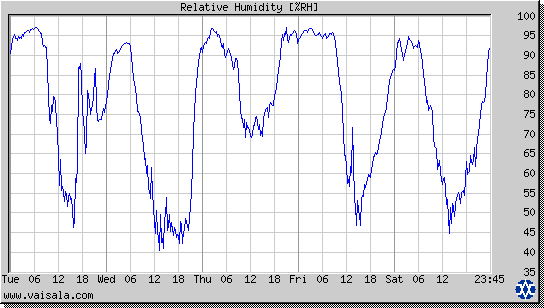 Relative Humidity