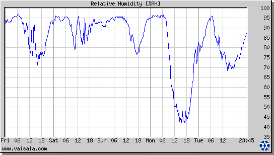 Relative Humidity