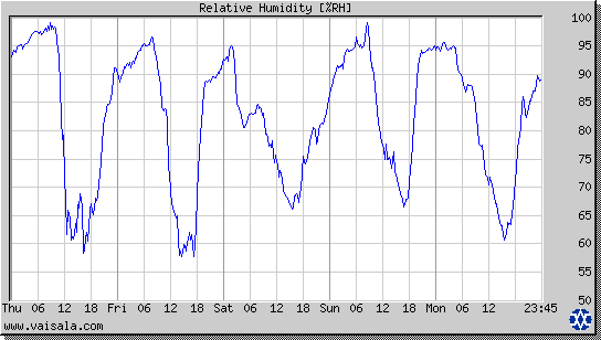 Relative Humidity