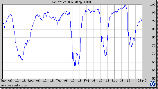 Relative Humidity