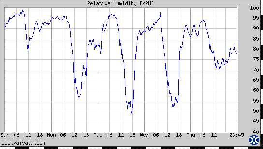 Relative Humidity