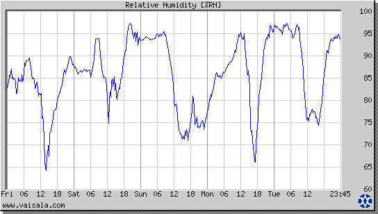 Relative Humidity