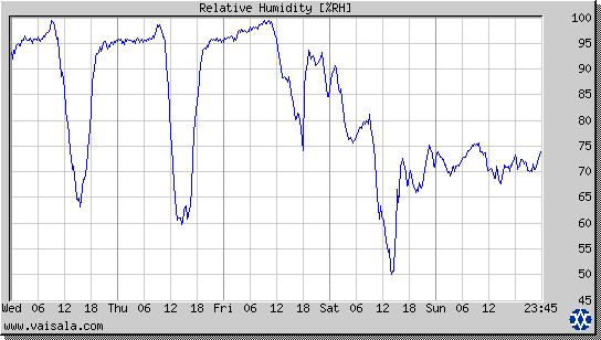 Relative Humidity