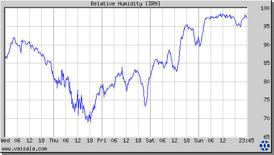 Relative Humidity