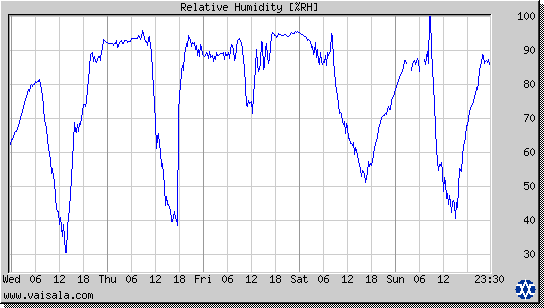 Relative Humidity