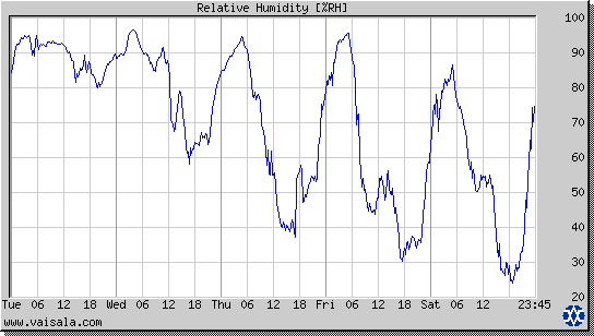 Relative Humidity