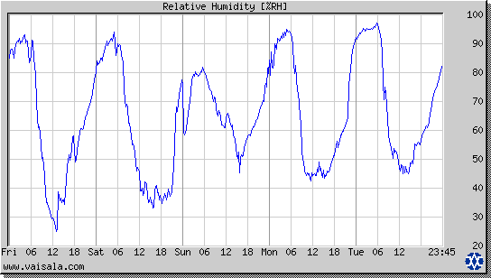 Relative Humidity