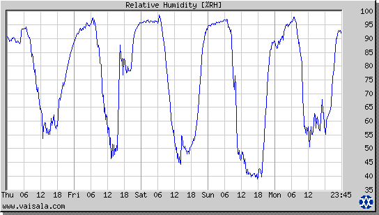 Relative Humidity