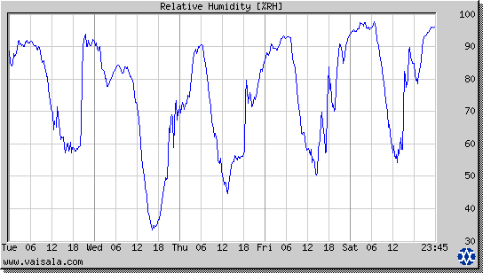 Relative Humidity