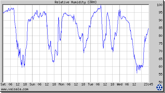 Relative Humidity