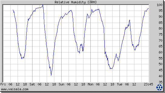 Relative Humidity