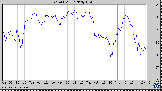 Relative Humidity