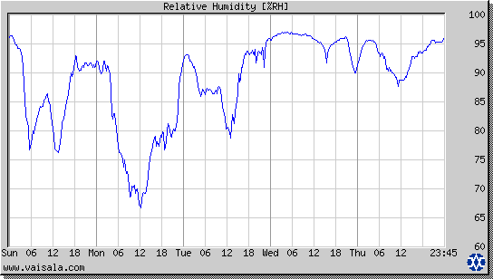 Relative Humidity