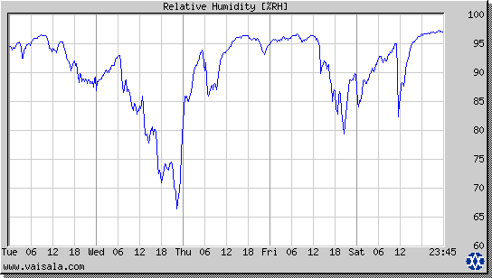 Relative Humidity