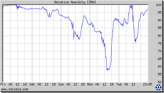 Relative Humidity