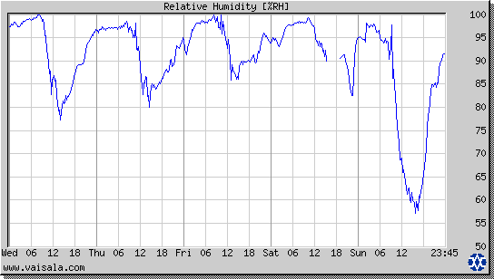 Relative Humidity