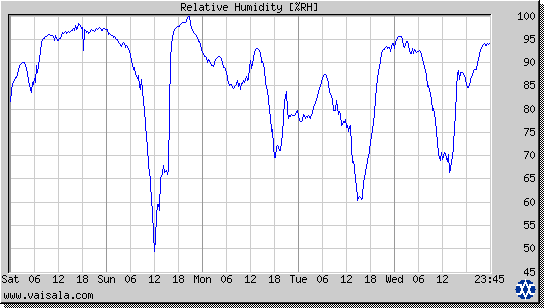 Relative Humidity