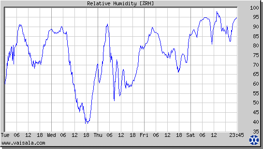 Relative Humidity