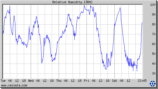 Relative Humidity