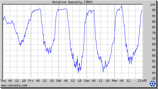 Relative Humidity