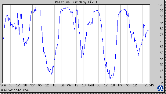 Relative Humidity