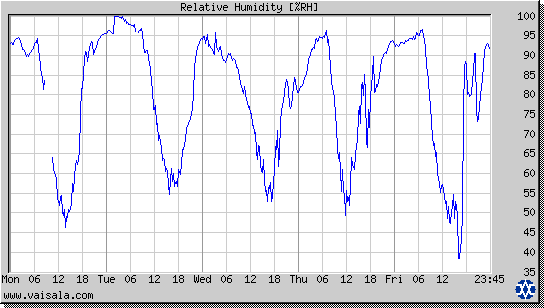 Relative Humidity