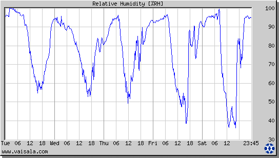 Relative Humidity