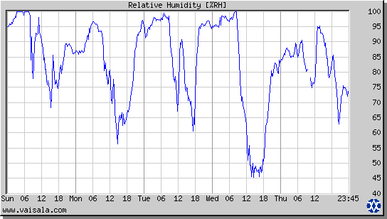 Relative Humidity