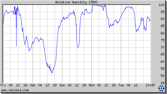 Relative Humidity