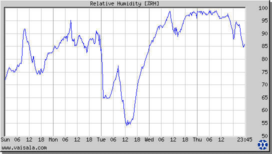 Relative Humidity