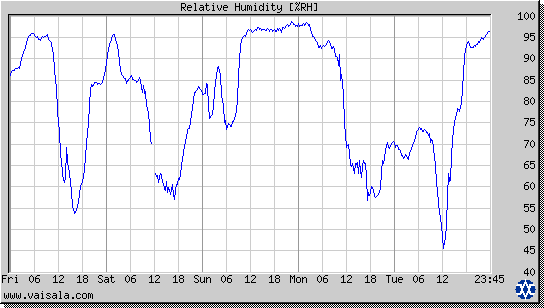 Relative Humidity