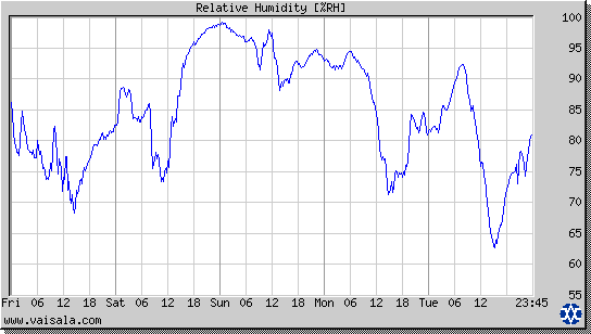 Relative Humidity